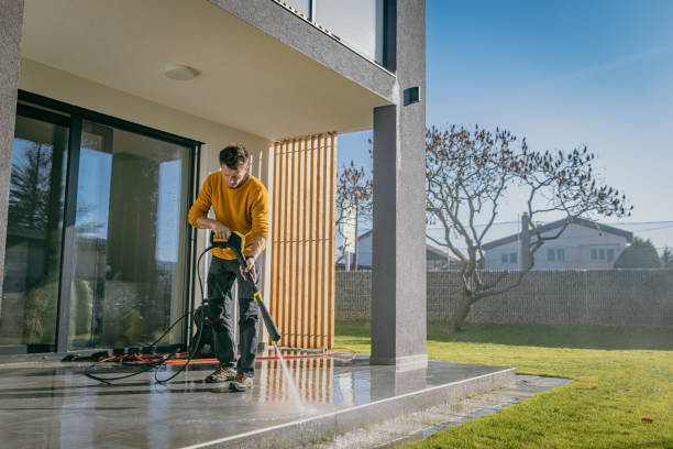 Best Building Exterior Washing  in Holt, AL
